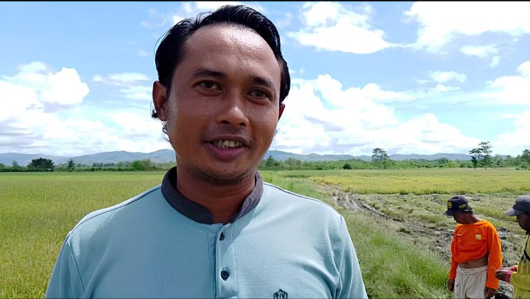 Jika Bulog Konsisten, Petani Desa Waelo Komitmen Setorkan 100% Gabah dan Beras ke Bulog